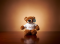 Stanley Bear Plush